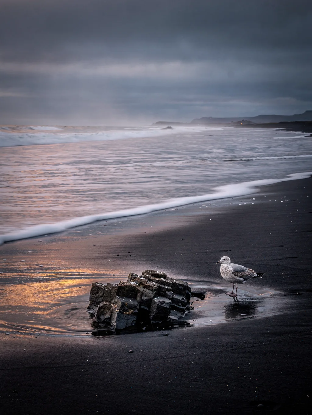 Black Sand Shore
