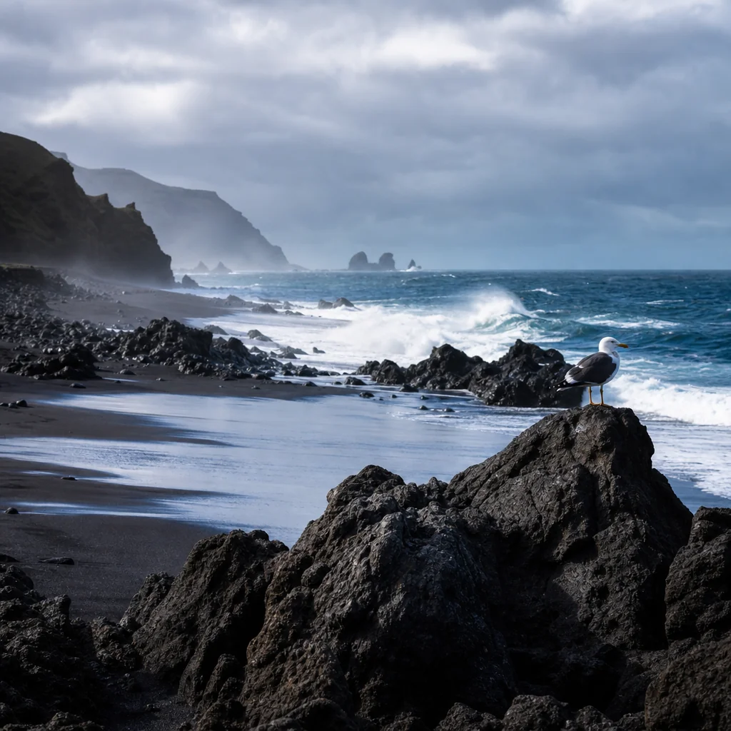Volcanic Rock